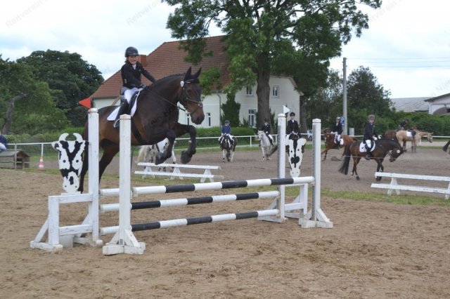 reitertag 2013 70
